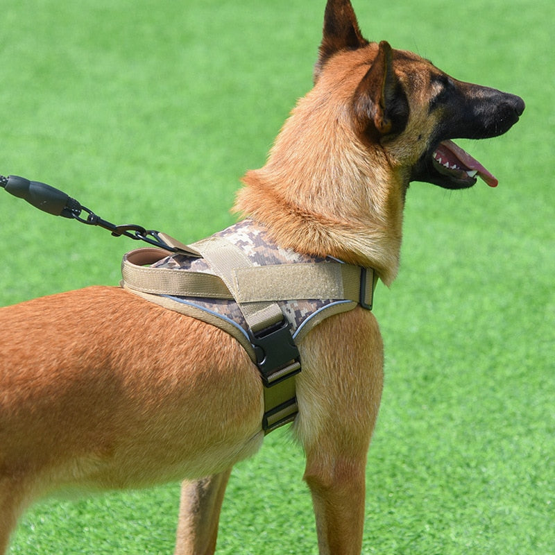 Dog combat outlet harness