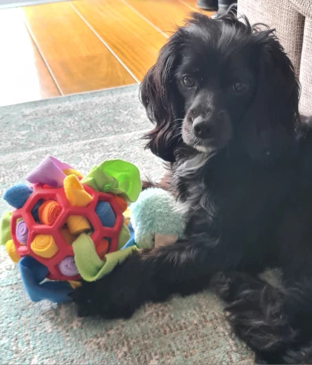 INTERACTIVE PET SNUFFLE BALL