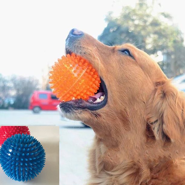 TEETH CLEANING BALL WITH SQUEAK