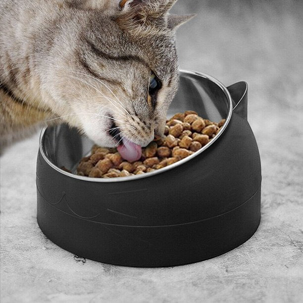 RAISED NO SLIP INSULATED CAT FOOD AND WATER BOWL