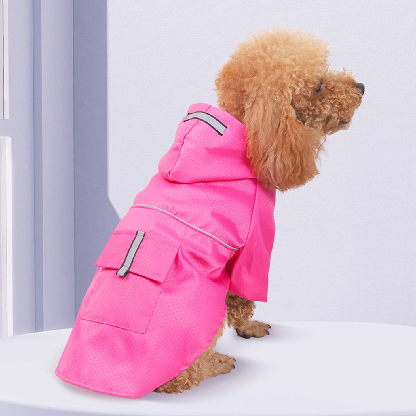 THE RAINY DAYS REFLECTIVE RAINCOAT FOR SMALL DOGS