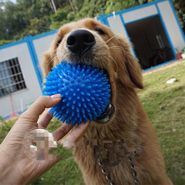 TEETH CLEANING BALL WITH SQUEAK