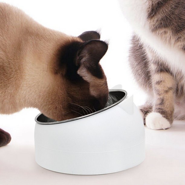 RAISED NO SLIP INSULATED CAT FOOD AND WATER BOWL