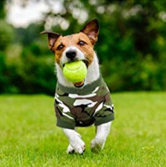 THE HUNTER CAMO DOG HOODIE