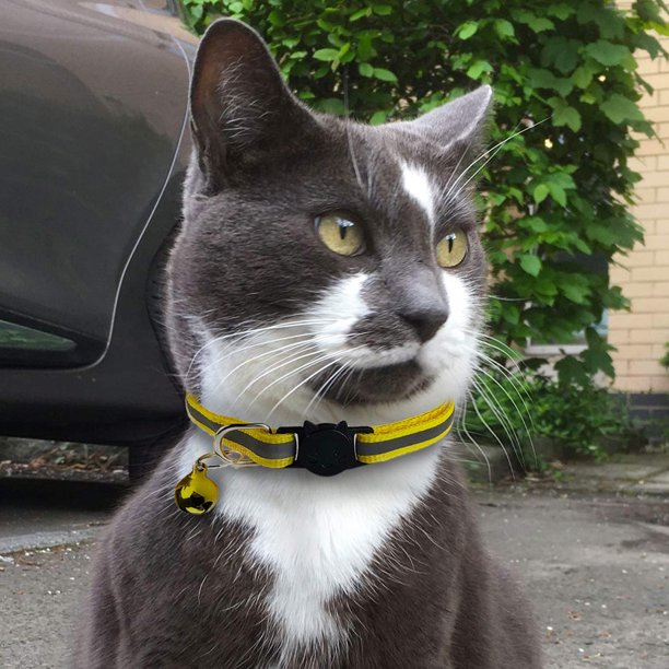 REFLECTIVE CAT COLLAR WITH BELL