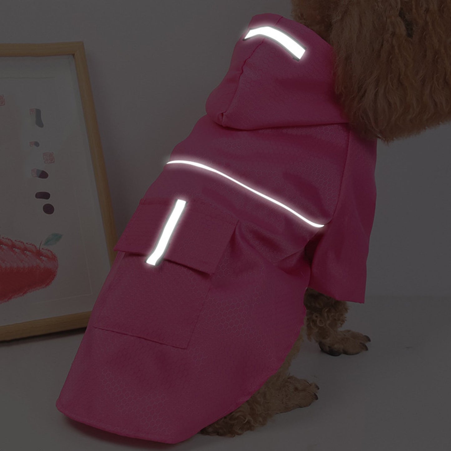 THE RAINY DAYS REFLECTIVE RAINCOAT FOR SMALL DOGS