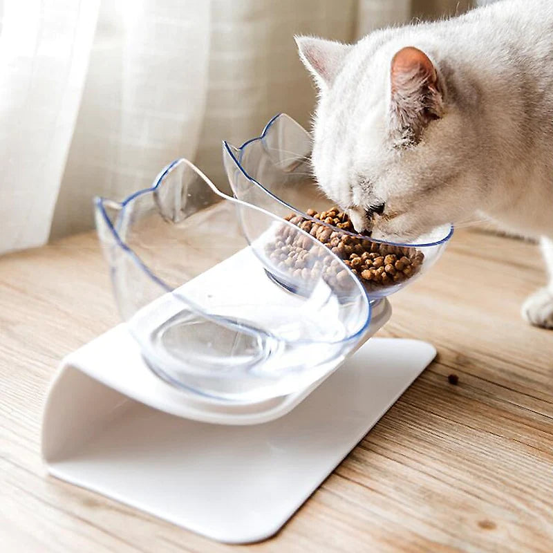 CAT FEEDING BOWLS