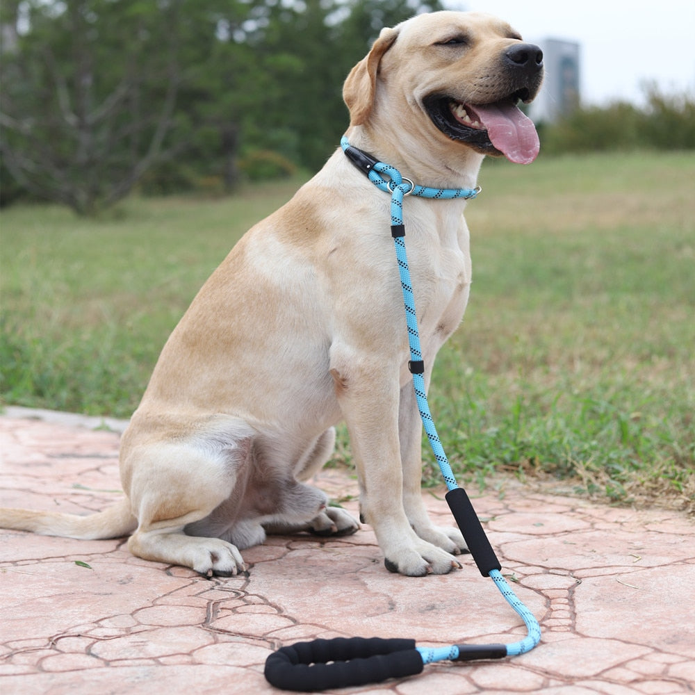 SLIP LEAD DOG LEASH