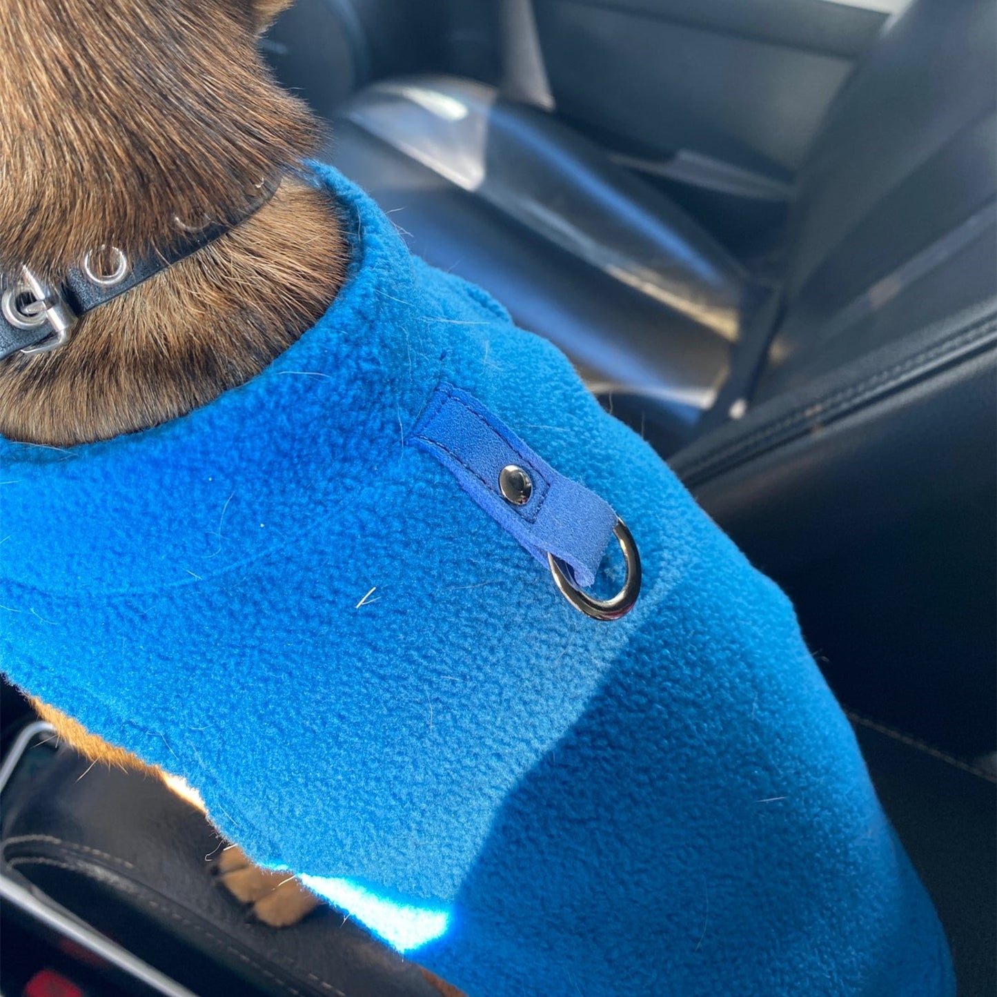 THE COACH WINTER FLEECE FOR SMALL DOGS