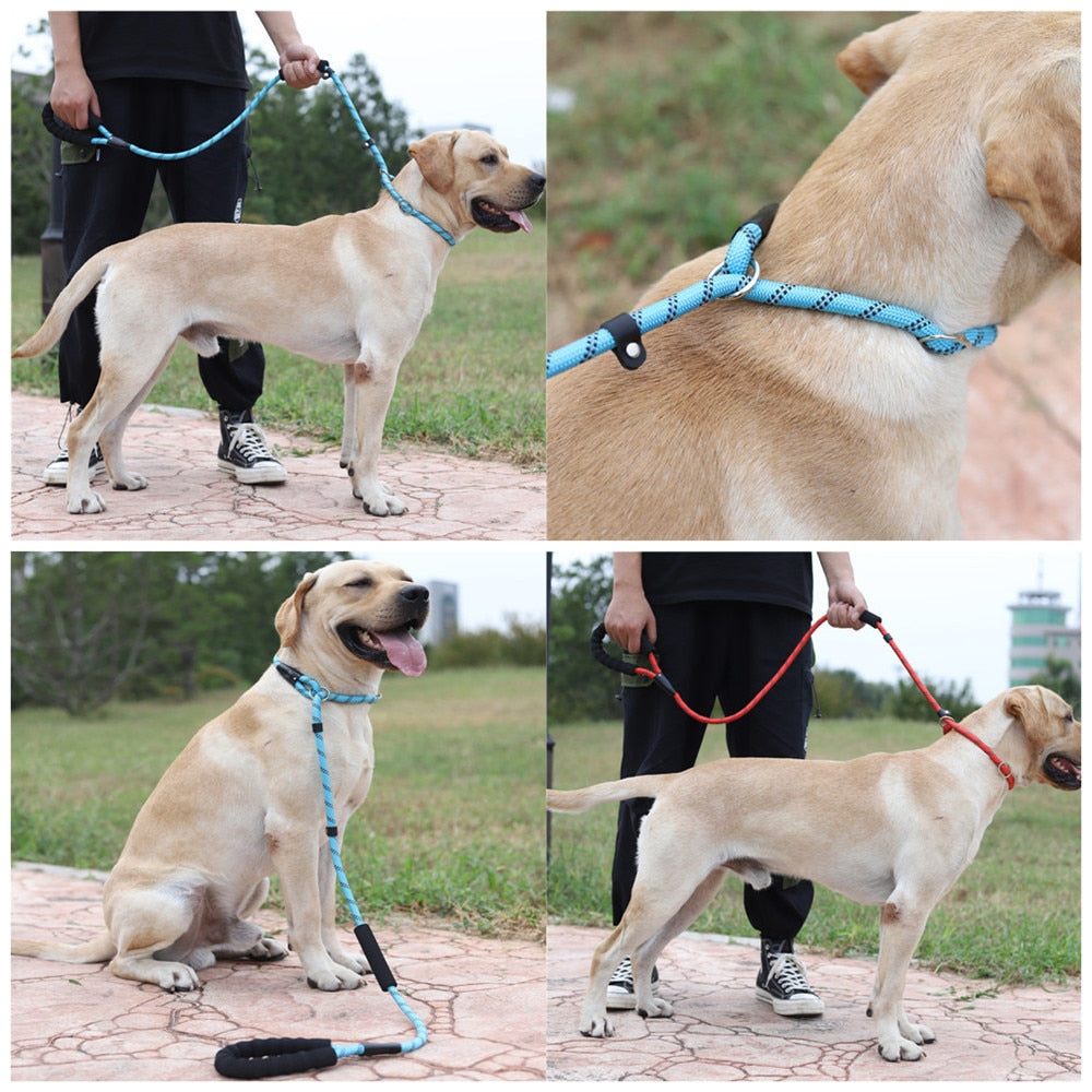 SLIP LEAD DOG LEASH