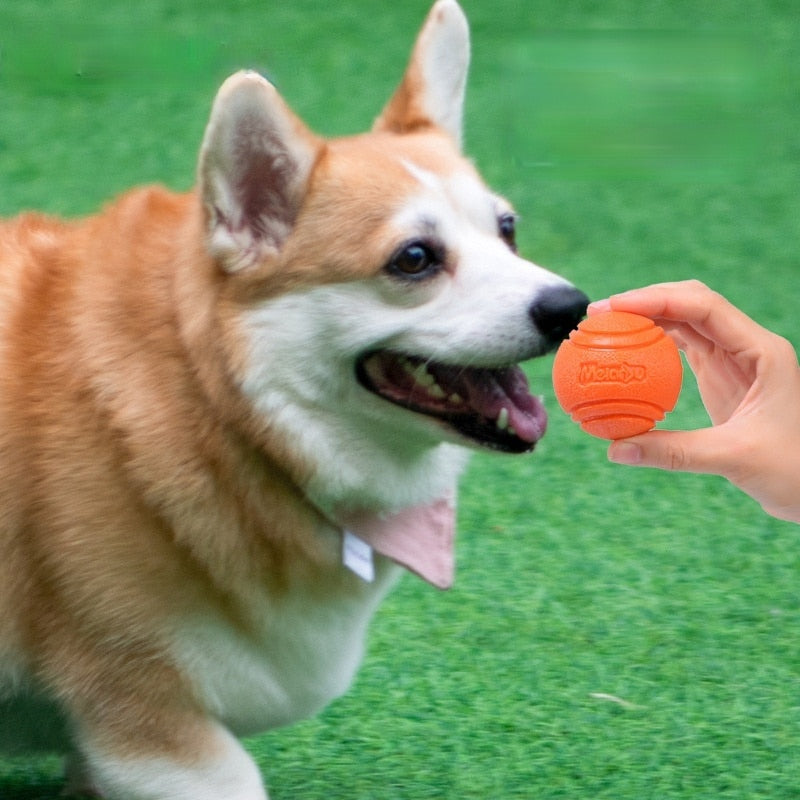 INDESTRUCTIBLE BOUNCY DOG BALL