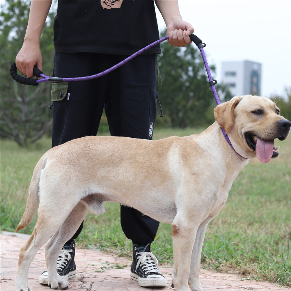 SLIP LEAD DOG LEASH