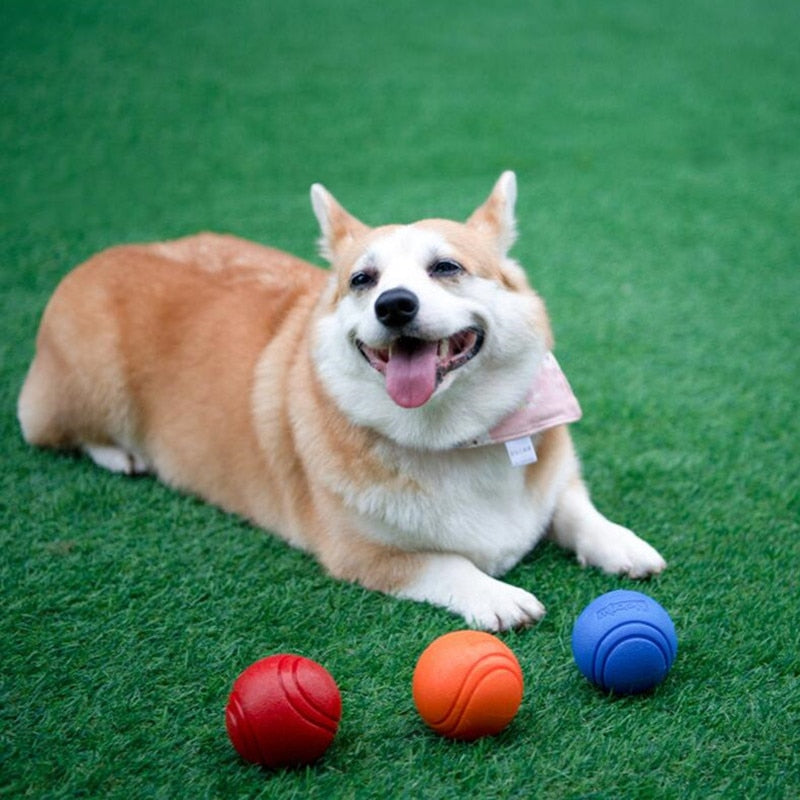 INDESTRUCTIBLE BOUNCY DOG BALL