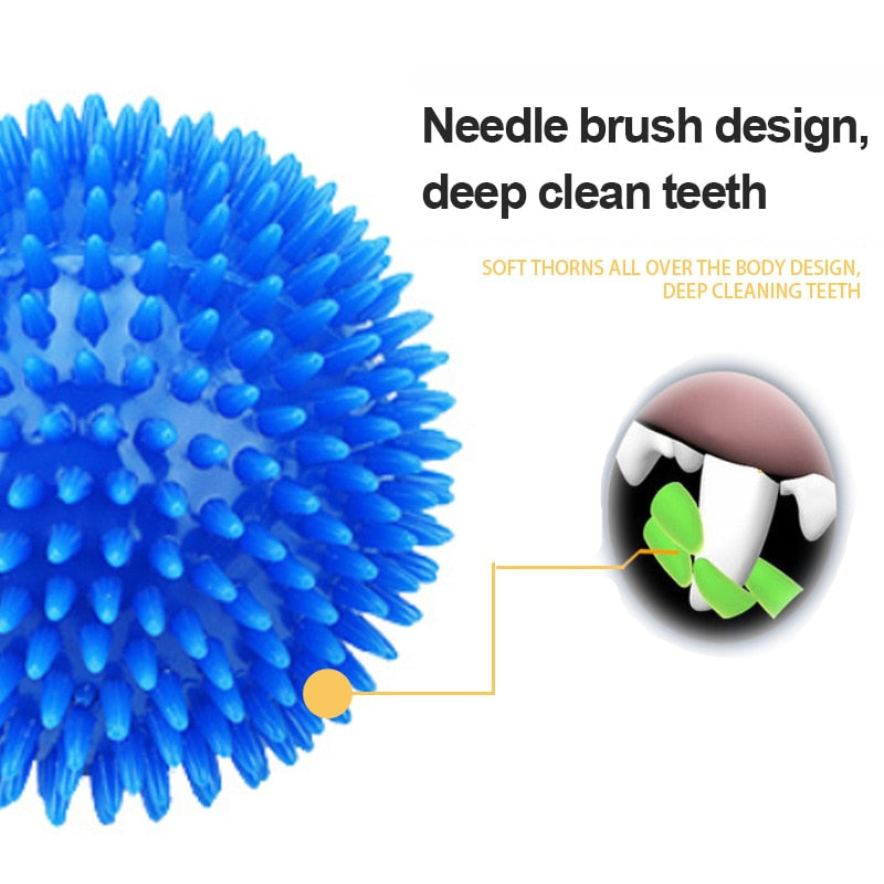 TEETH CLEANING BALL WITH SQUEAK