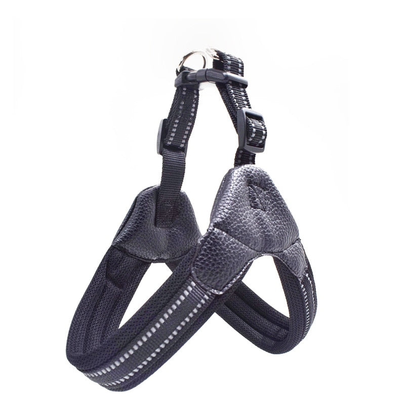 MESH SIMPLE STEP HARNESS COLLECTION