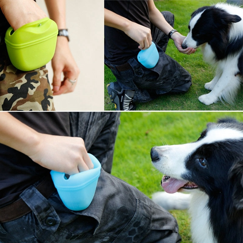 TRAINING TREAT POUCH