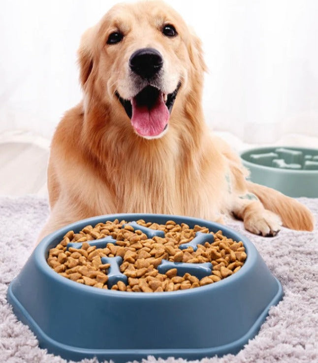 INTERACTIVE SLOW FEED DOG FOOD BOWL