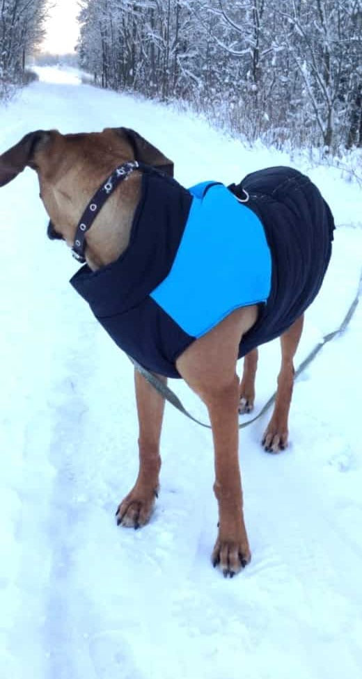 THE OFF TRAIL WATERPROOF DOG WINTER JACKET