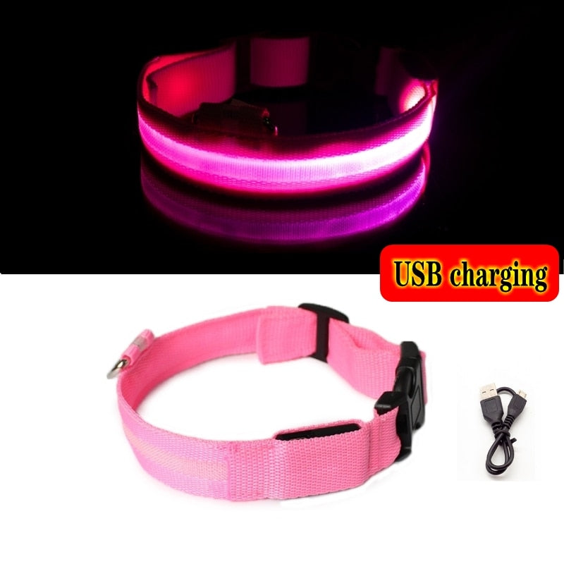 LED SAFETY DOG COLLAR