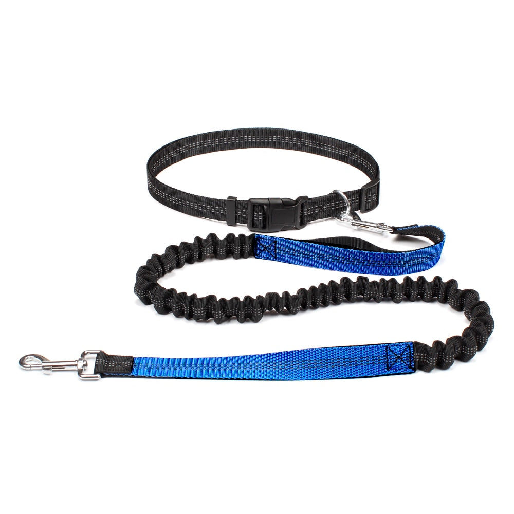 HANDS FREE BUNGEE DOG LEASH