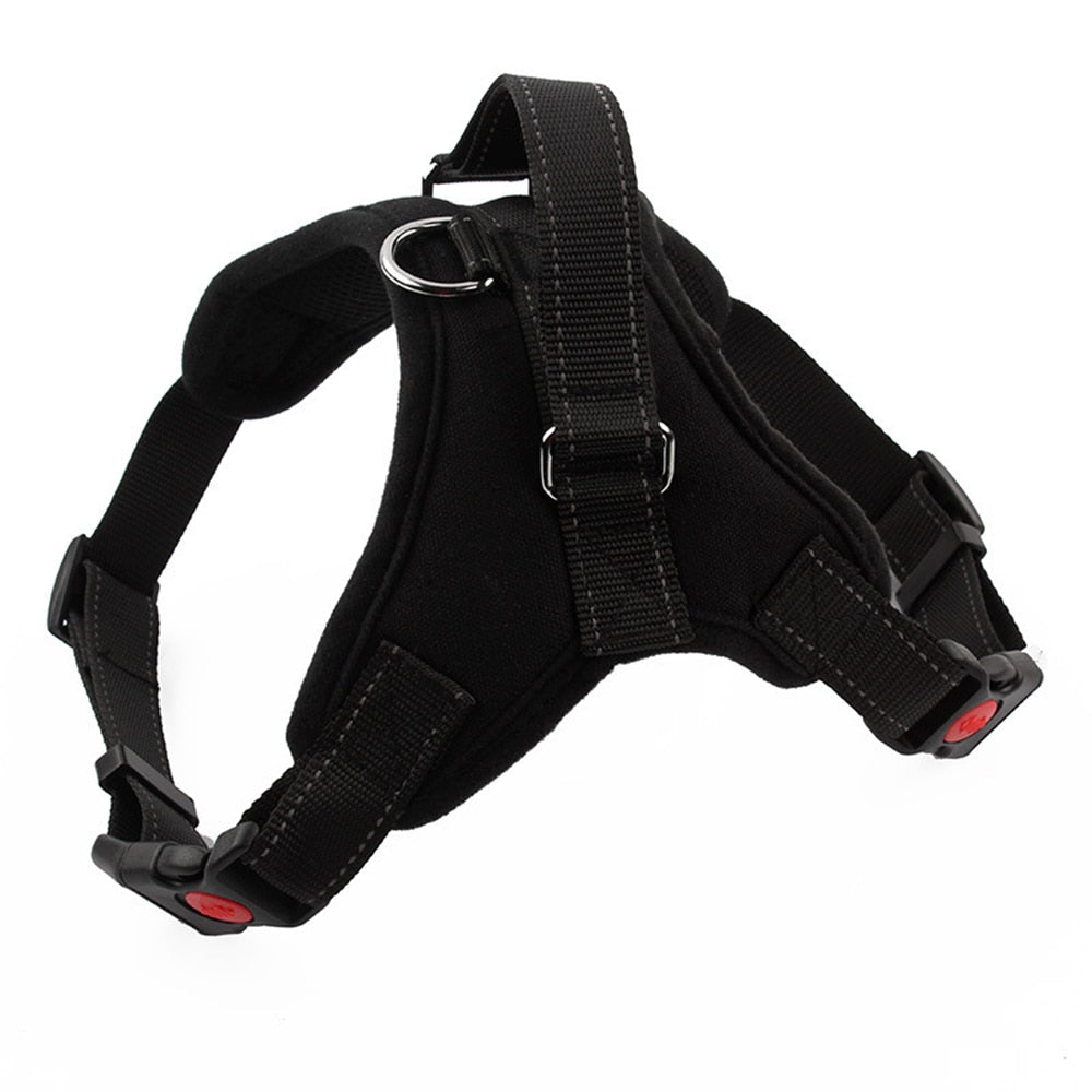 EASY-ON SPORT HARNESS COLLECTION