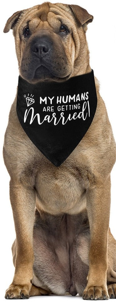 PET WEDDING BANDANA COLLECTION