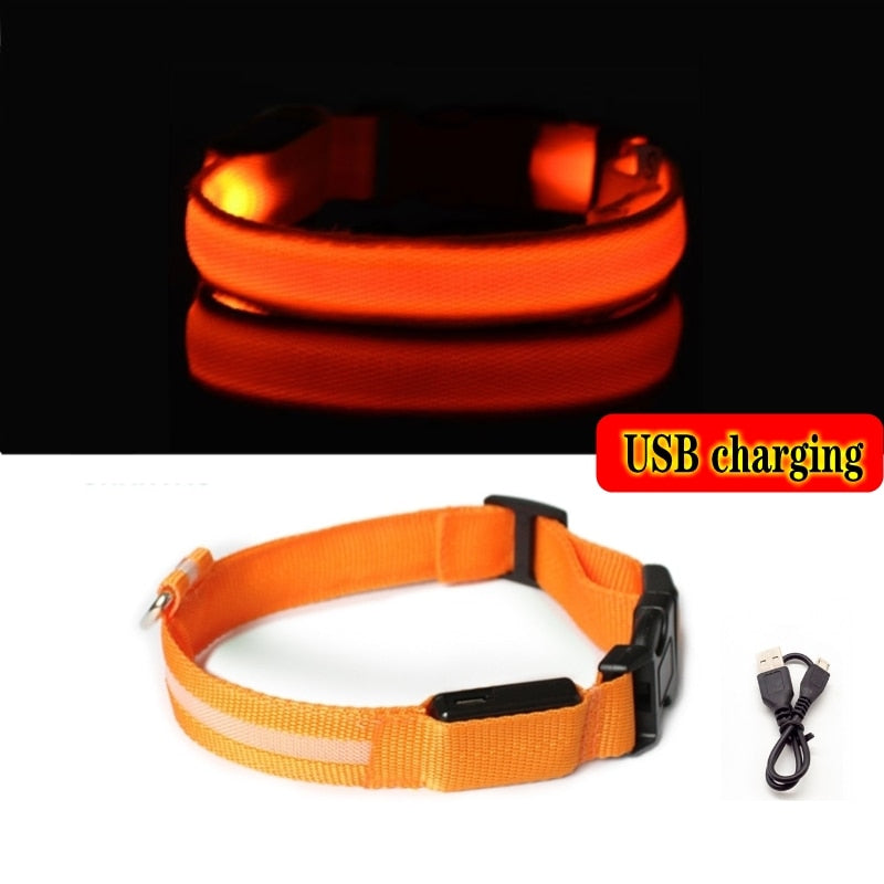 LED SAFETY DOG COLLAR