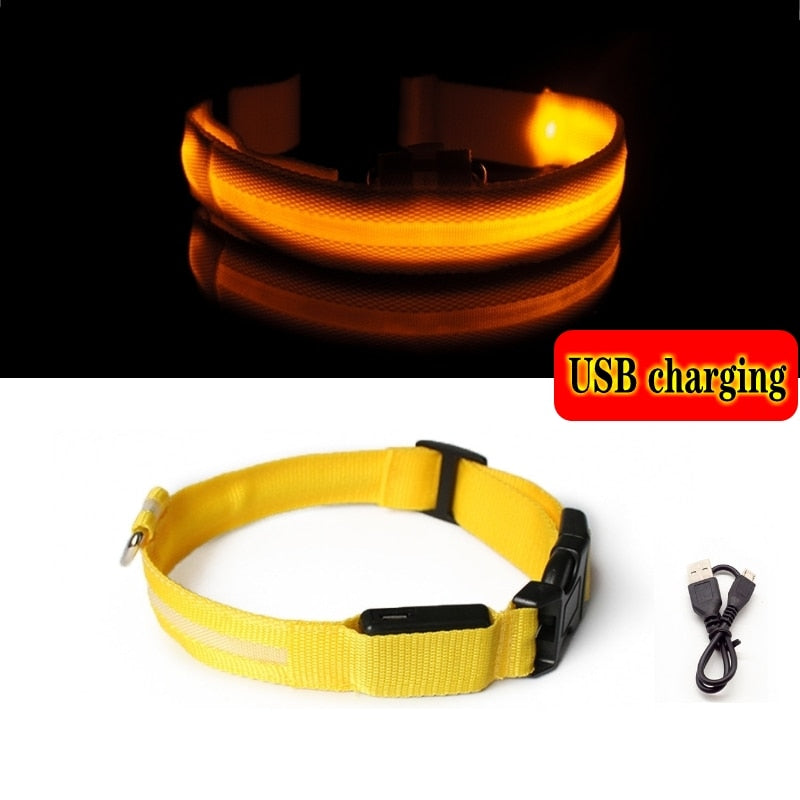 LED SAFETY DOG COLLAR