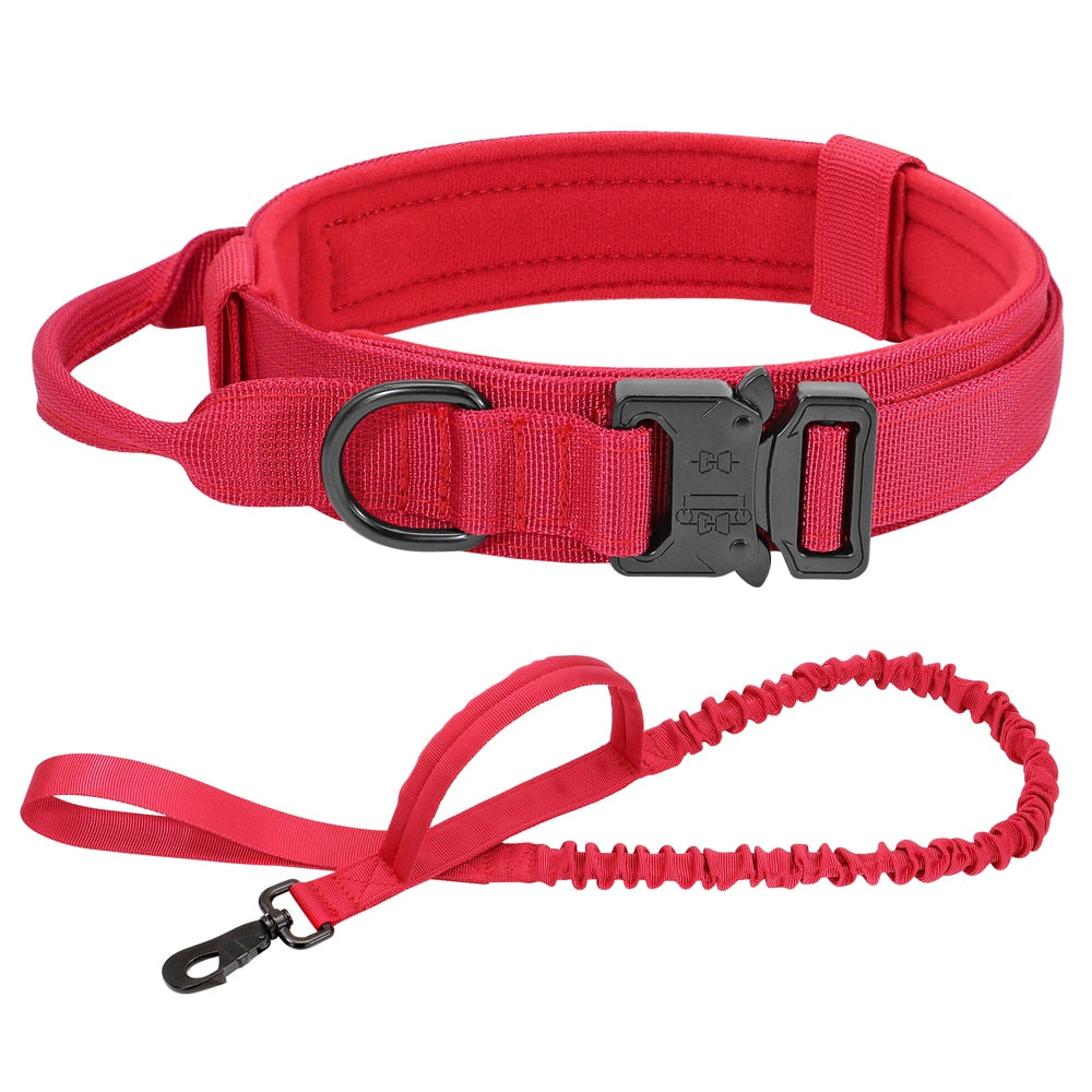 TACTICAL DOG COLLAR AND BUNGEE LEASH SET