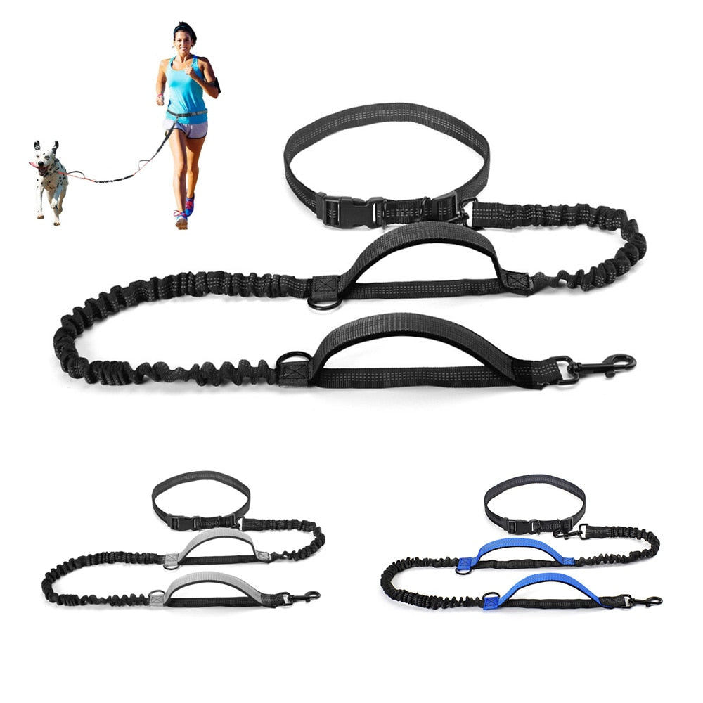 HANDS FREE BUNGEE DOG LEASH