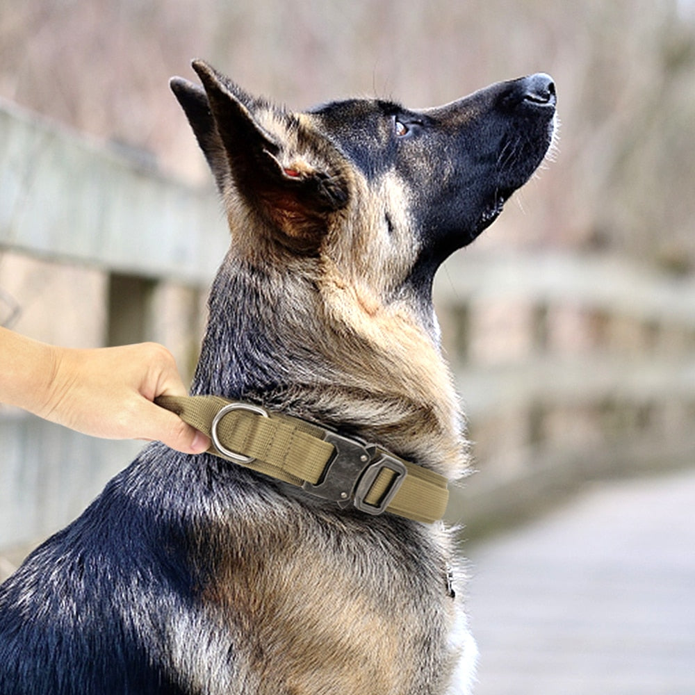 TACTICAL DOG COLLAR AND BUNGEE LEASH SET