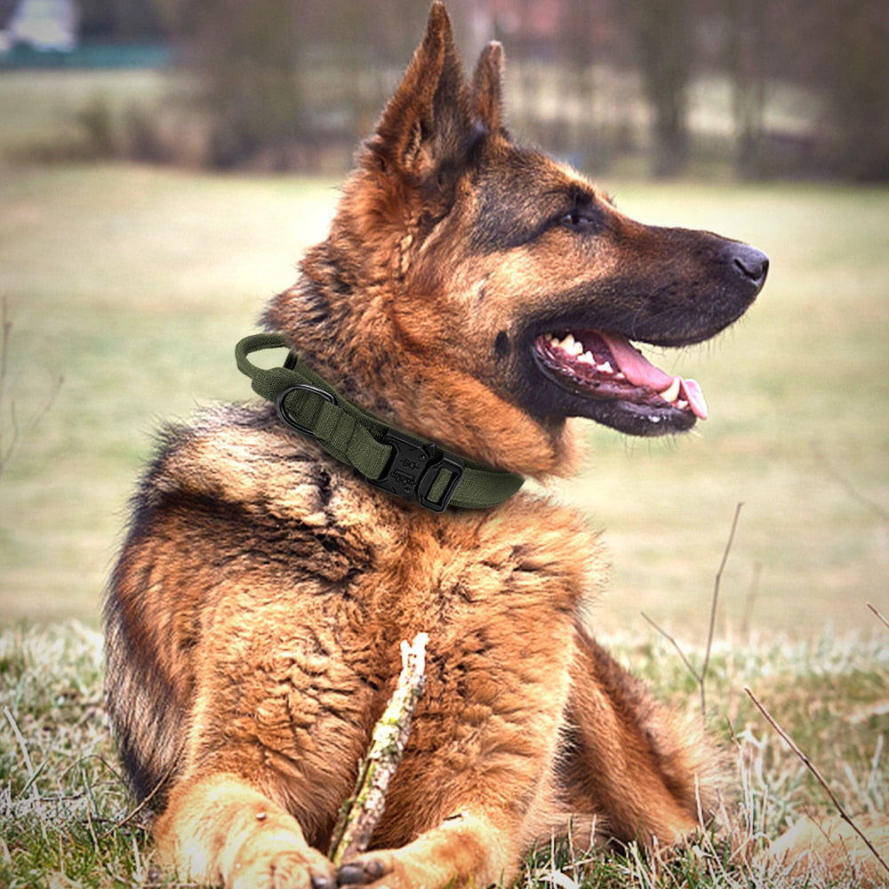 TACTICAL DOG COLLAR AND BUNGEE LEASH SET