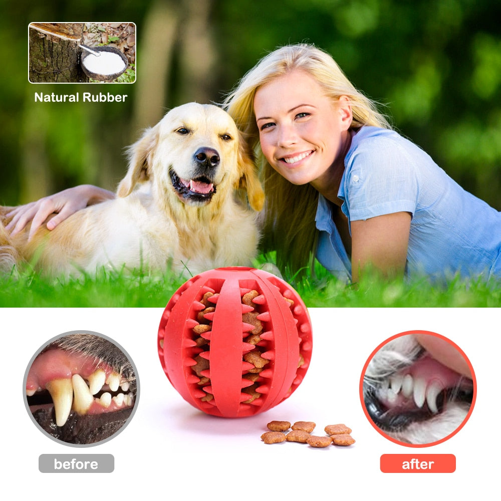 INTERACTIVE TREAT DISPENSING BALL