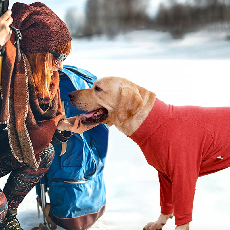 THE ODEN LARGE DOG ONSIE