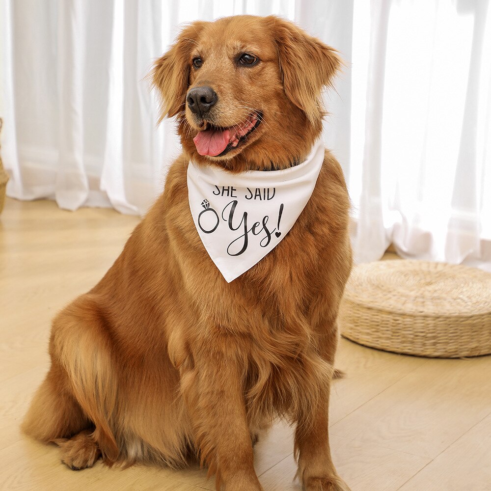 Wedding bandana clearance