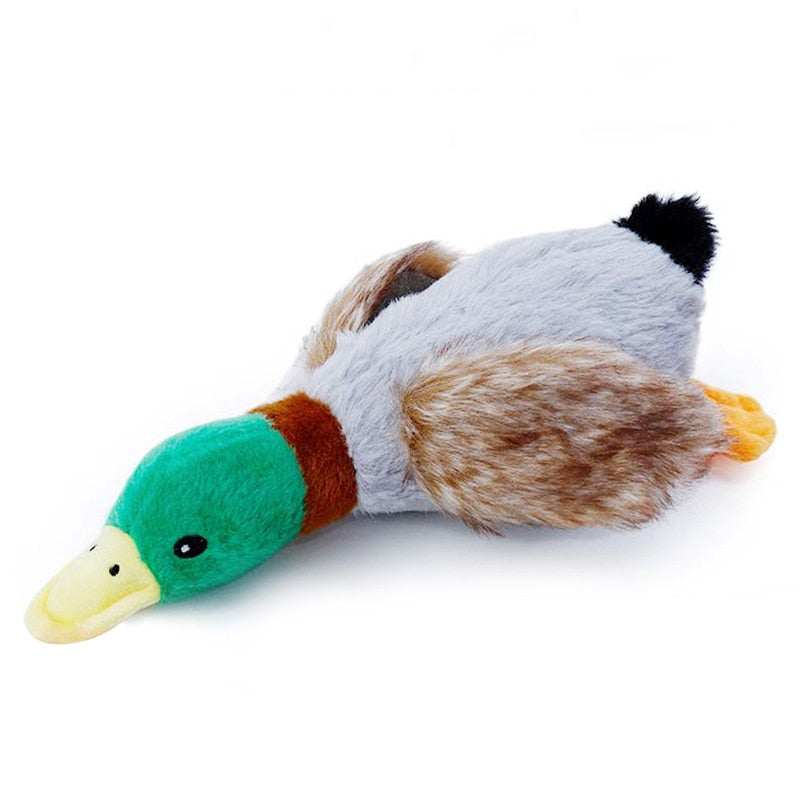 WILD DUCK DOG TOY WITH SQUEAK