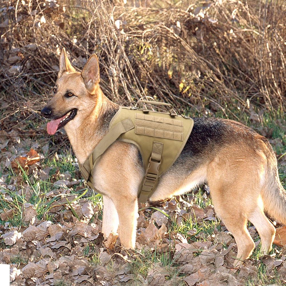 MILITARY NO-PULL HARNESS WITH LEASH SET