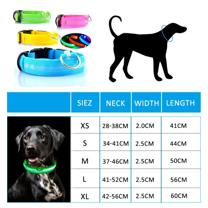 LED SAFETY DOG COLLAR