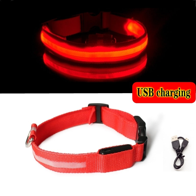 LED SAFETY DOG COLLAR