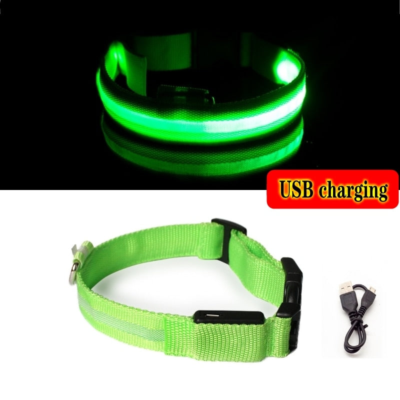 LED SAFETY DOG COLLAR