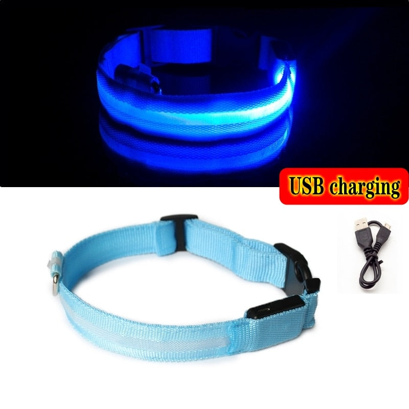 LED SAFETY DOG COLLAR