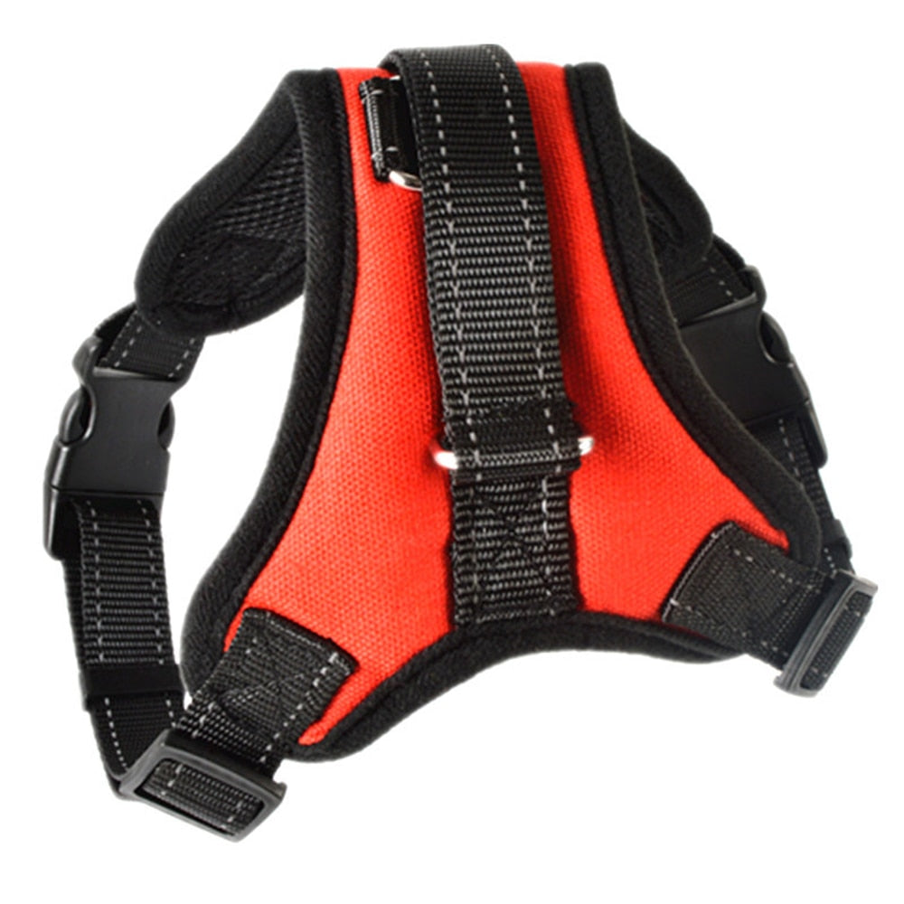 EASY-ON SPORT HARNESS COLLECTION