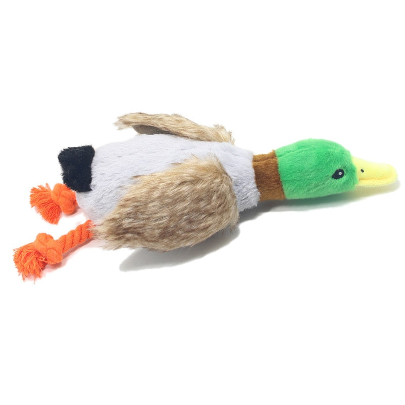 WILD DUCK DOG TOY WITH SQUEAK