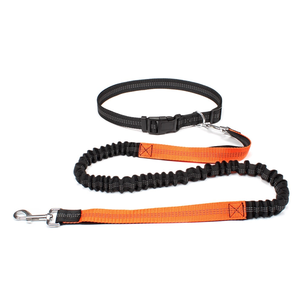 HANDS FREE BUNGEE DOG LEASH