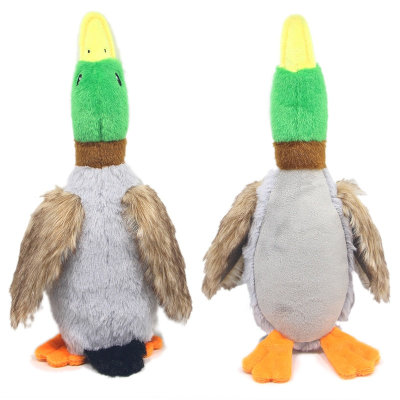 WILD DUCK DOG TOY WITH SQUEAK