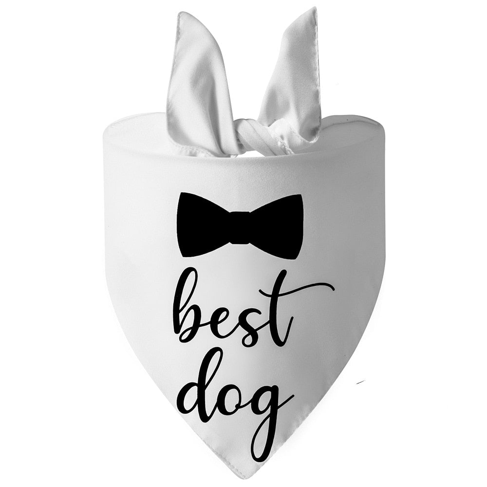 PET WEDDING BANDANA COLLECTION