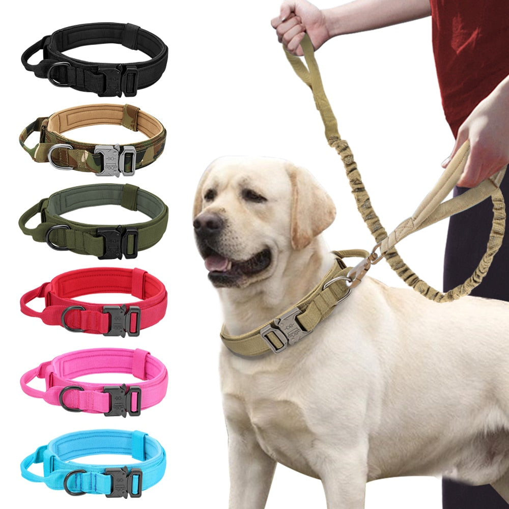 TACTICAL DOG COLLAR AND BUNGEE LEASH SET