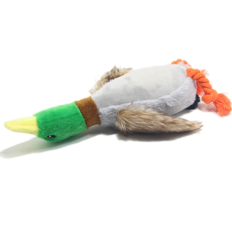 WILD DUCK DOG TOY WITH SQUEAK