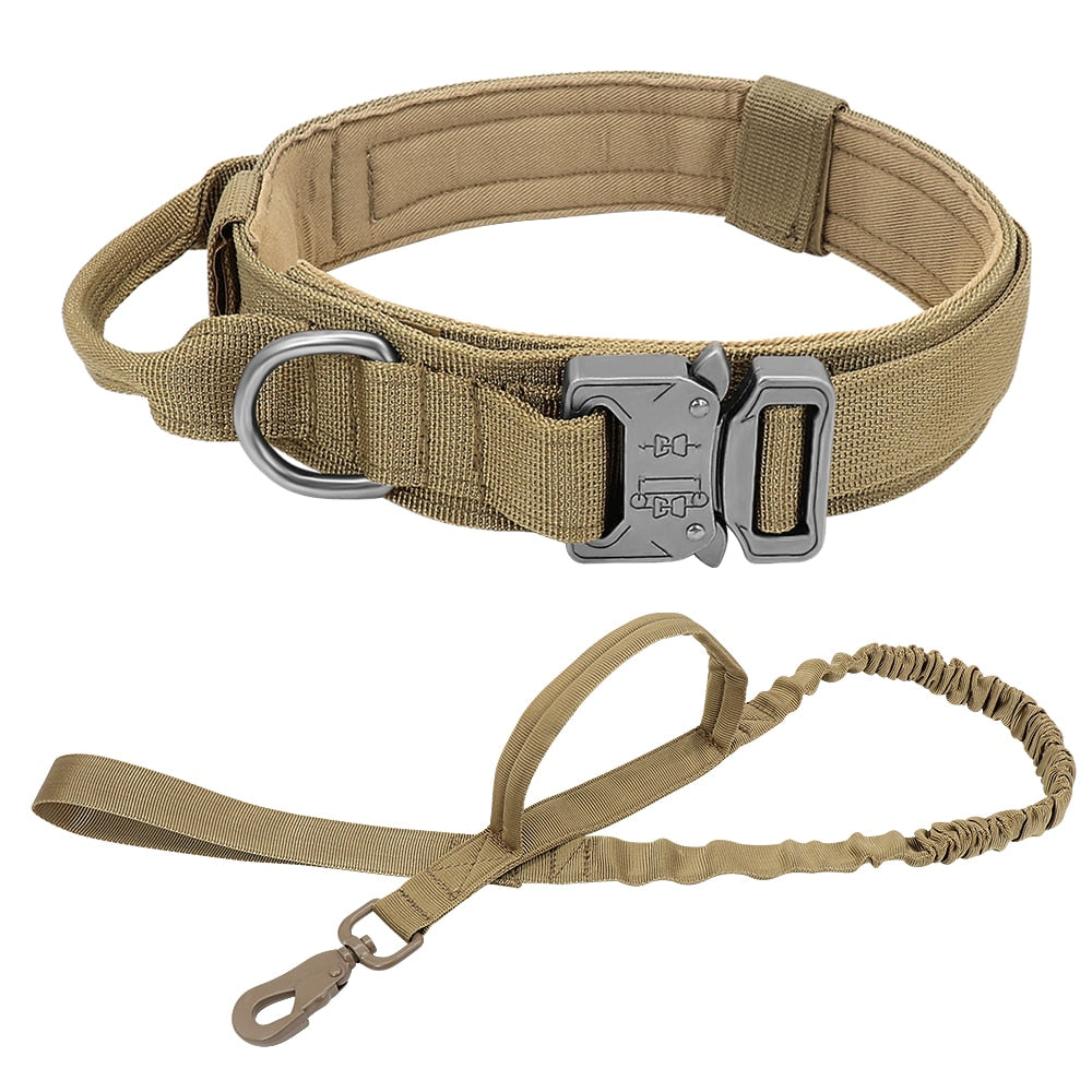 Tactical bungee clearance leash