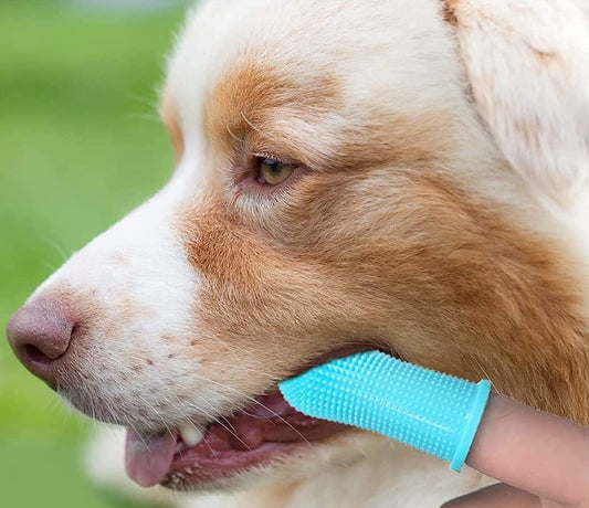 FINGER DOG & CAT TOOTHBRUSH